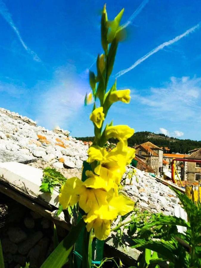 Guest House San Nikola Stari Grad  Luaran gambar