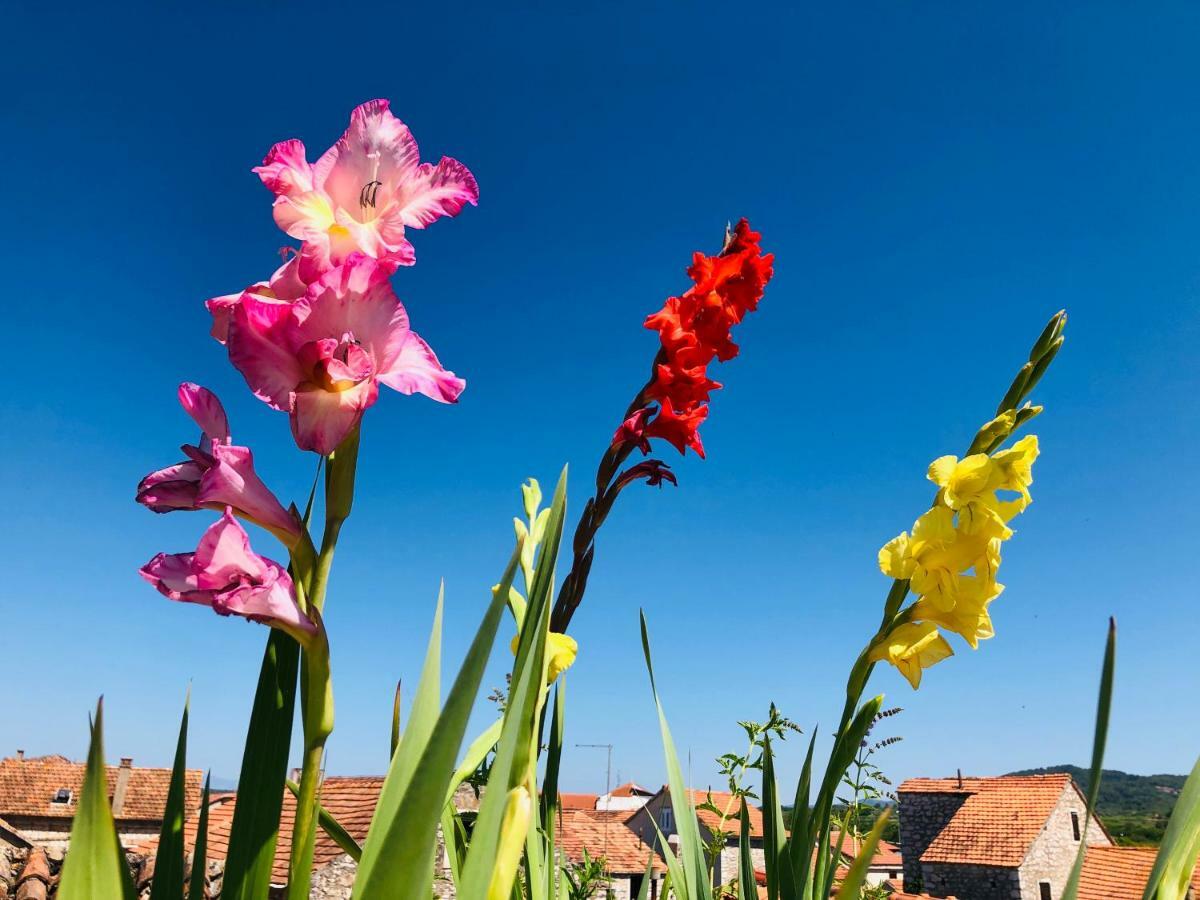 Guest House San Nikola Stari Grad  Luaran gambar